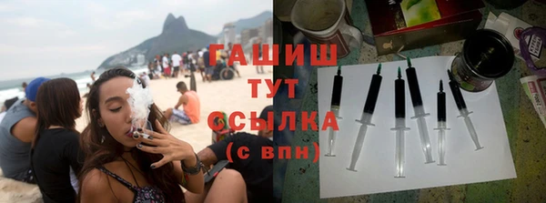 гидра Богданович