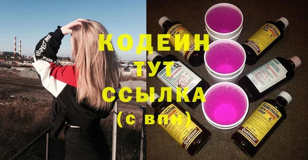 гидра Богданович