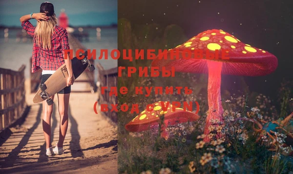 ешки Богородицк