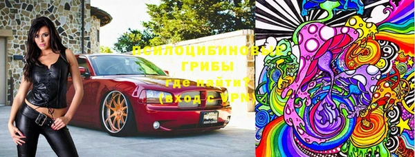 твердый Богородск