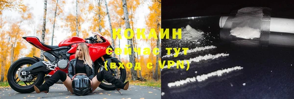гидра Богданович