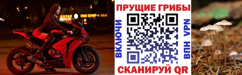 Псилоцибиновые грибы мухоморы  Купить  Муравленко 