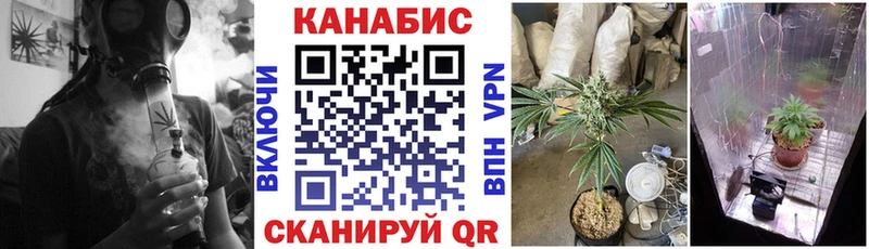 Купить закладки  Муравленко  МАРИХУАНА MAZAR 